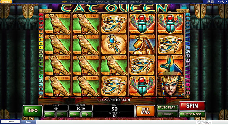 Coral Cat Queen Spin Game